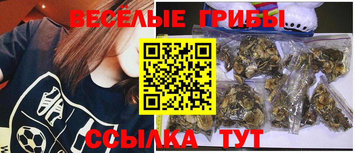 Псилоцибиновые грибы Magic Shrooms  Вход с VPN  Богородицк 