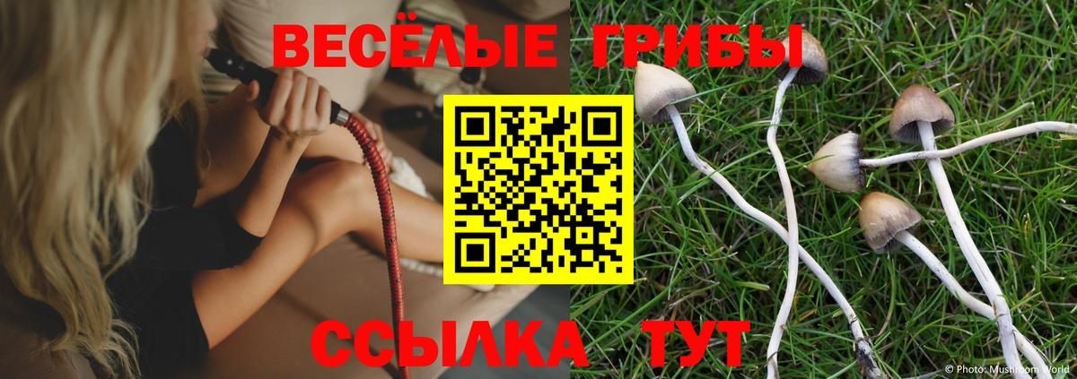 Галлюциногенные грибы MAGIC MUSHROOMS Богородицк